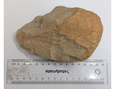 The Curio Collection (A983) - Lot 1151