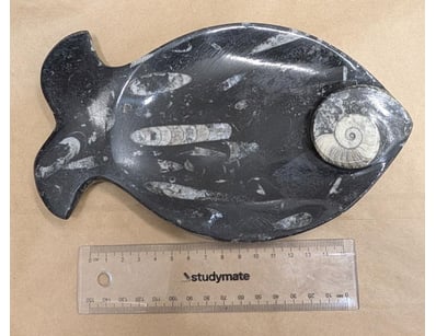 The Curio Collection (A985) - Lot 1122