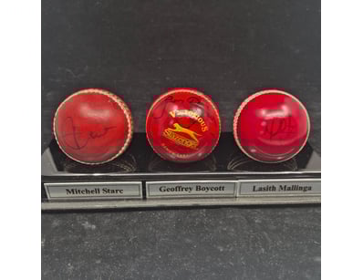 SINGLE VENDOR LIFETIME COLLECTION (A1001) - Lot 881