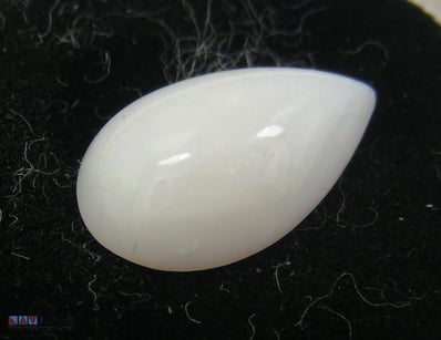2.1CT AUSTRALIAN WHITE OPAL       

 


 

 

Cond...