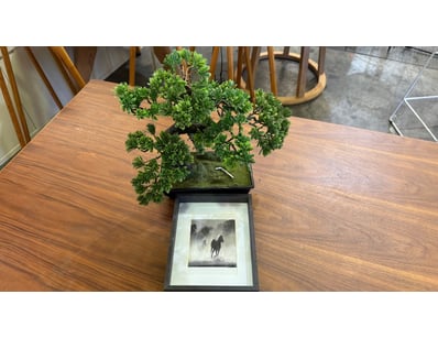 Plastic bonsai tree and framed print

