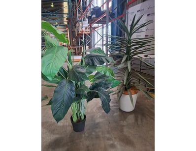 House & Homewares (A987) - Lot 120