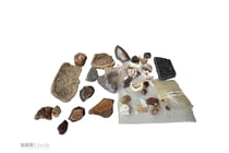 Collection of geological rock and mineral