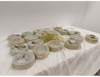 End of Contract Bypass Surplus - PART 2 - Lot 1325