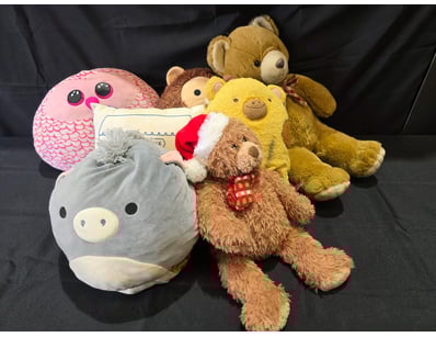 Sport, Leisure & Lifestyle (A1006) - Lot 55