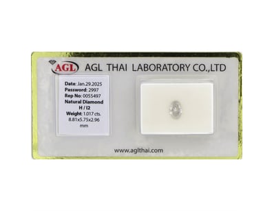 Diamond Clearance (A1004) - Lot 101