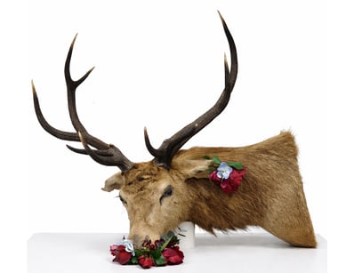 The Curio Collection (A1001) - Lot 400