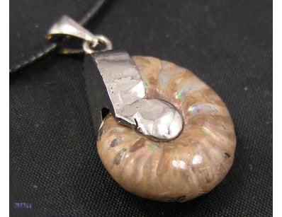 AMMANITE FOSSIL PENDANT        

Condition: Good -...