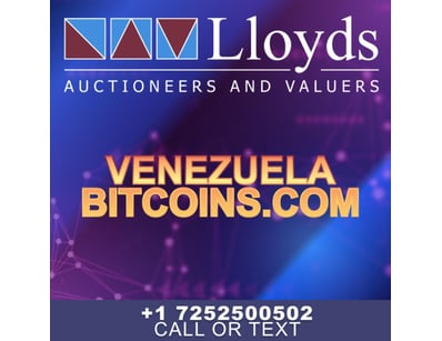 Historic Domain Auction: Bitcoin Portfolio + Ic... - Lot 121