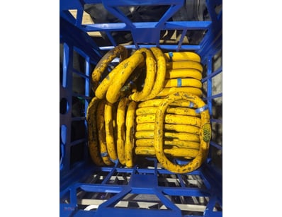 Oblong Rings, 6 x HR800

Sold as Lot

Collection...