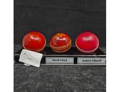 SINGLE VENDOR LIFETIME COLLECTION (A1001) - Lot 873