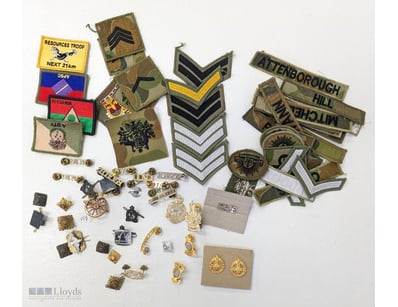 BRITISH MILITARY INSIGNIA AND BADGES COLLECTION - ...