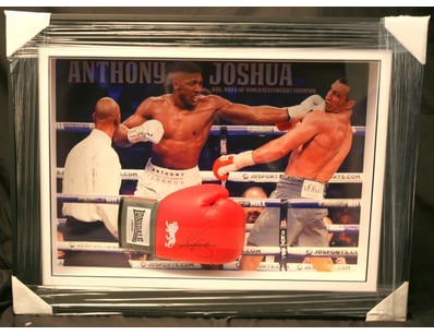 Mancave & Memorabilia (A986) - Lot 895