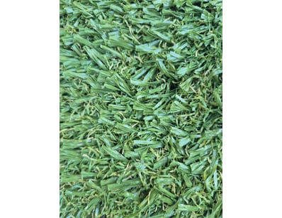 Artificial Turf Clearance (A1004) - Lot 37