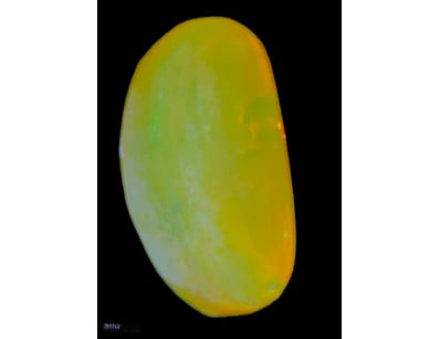 12.2 CARATS LIGHTNING RIDGE JELLY OPAL   

Dimensi...