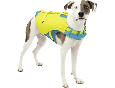 Essential Homegoods & Luxuries (VICA1006) - Lot 155