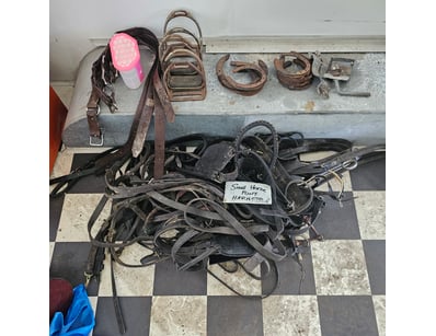 Assorted horse equipment

Sold as lot

Onsite

L...