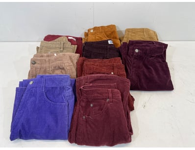 Entire Vintage Clothing Store Liquidation (ON11821) - Lot 14