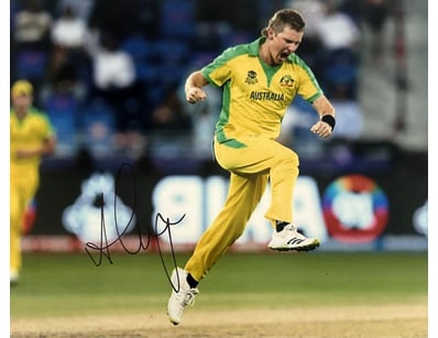 Mancave & Memorabilia (A981) - Lot 1408