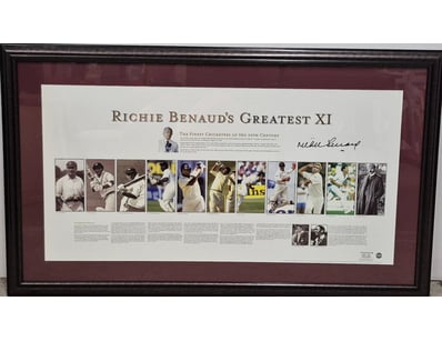 SINGLE VENDOR LIFETIME COLLECTION (A1001) - Lot 818