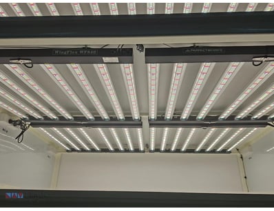 Commercial LED Grow Lights Wing Flex

Profession...