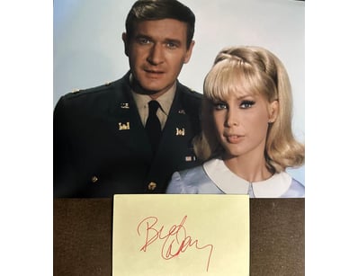 Mancave & Memorabilia (A977) - Lot 1981