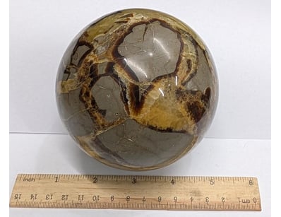 The Curio Collection (A988) - Lot 5023