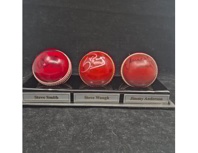 SINGLE VENDOR LIFETIME COLLECTION (A1001) - Lot 882