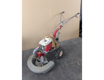 SA Public Trustee Home & Collectables Clearanc... - Lot 4610