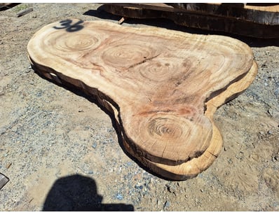 Hardwood Timber Slabs (ON4481) - Lot 37