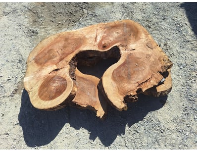 Hardwood Timber Slabs (ON4481) - Lot 21