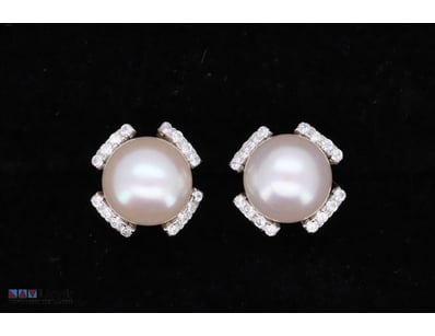 SOUTH SEA PEARL EARRINGS ON 925 SILVER - WITH CERT...