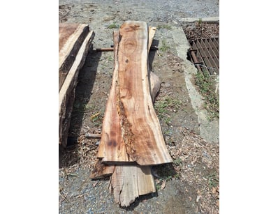 Hardwood Timber Slabs (ON4481) - Lot 11
