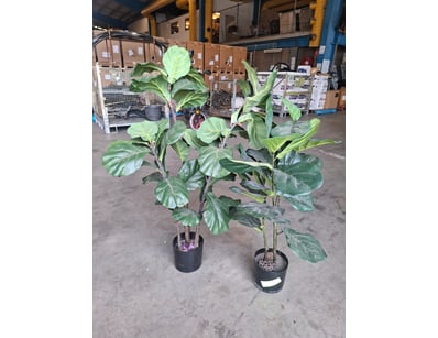 House & Homewares (A987) - Lot 138