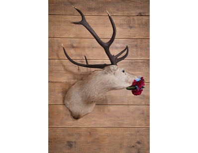 Antiques, Vintage & Interior Treasures (A1004) - Lot 599