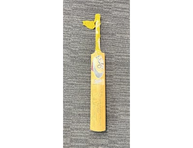 AUSTRALIAN CRICKET OPENING BATSMAN JUSTIN LANGER'S...