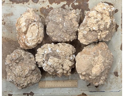 The Curio Collection (A999) - Lot 589