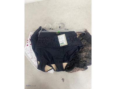 Mix of women’s lingerie, high brief underwear. tan...