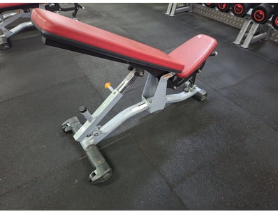Gym Equipment Liquidation (ON11749) - Lot 47
