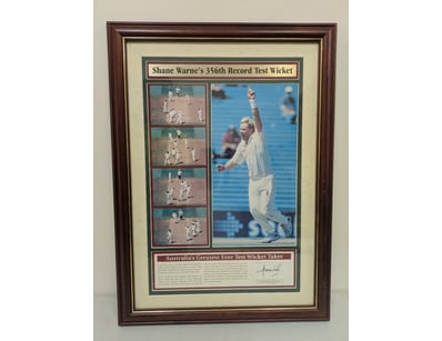 Mancave & Memorabilia (A1001) - Lot 803
