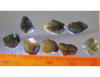 40CT NATURAL ROUGH NSW SAPPHIRES       

 


 

 
...