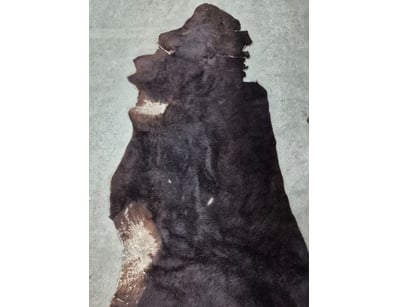 Antiques, Vintage & Interior Treasures (A998) - Lot 2073