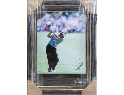 Mancave & Memorabilia (A1005) - Lot 213