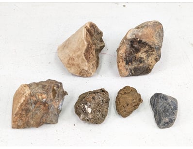 COLLECTION OF FOSSIL SPECIMENS AND STONE ARTIFACTS...