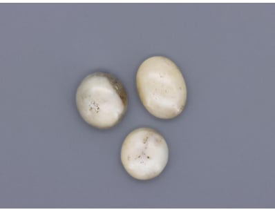 UNRESERVED Diamonds, Gemstones & Opals (A988) - Lot 603