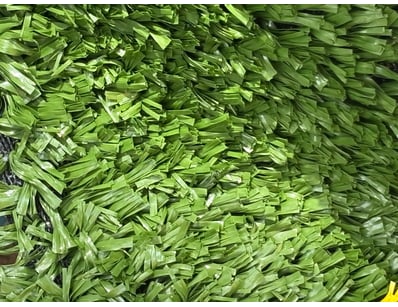 Artificial Turf Clearance (GCA982) - Lot 37