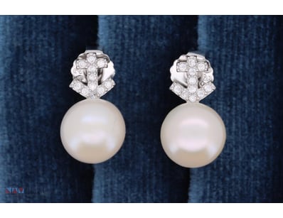 SOUTH SEA PEARL EARRINGS ON 925 SILVER - WITH CERT...