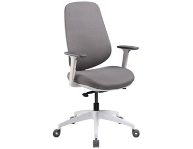 Major Retailer Office Supplies and Furniture - I... - Lot 58