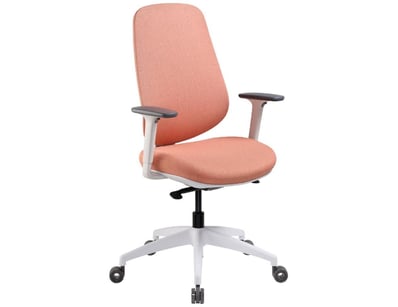 Major Retailer Office Supplies and Furniture - I... - Lot 57