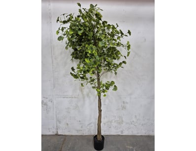 Quality Designer Furniture & Decor Clearance (A... - Lot 640